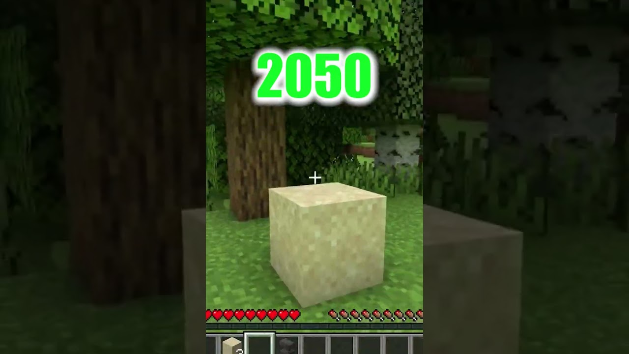 Minecraft 2022 vs 2050 😱 RiusPlay 