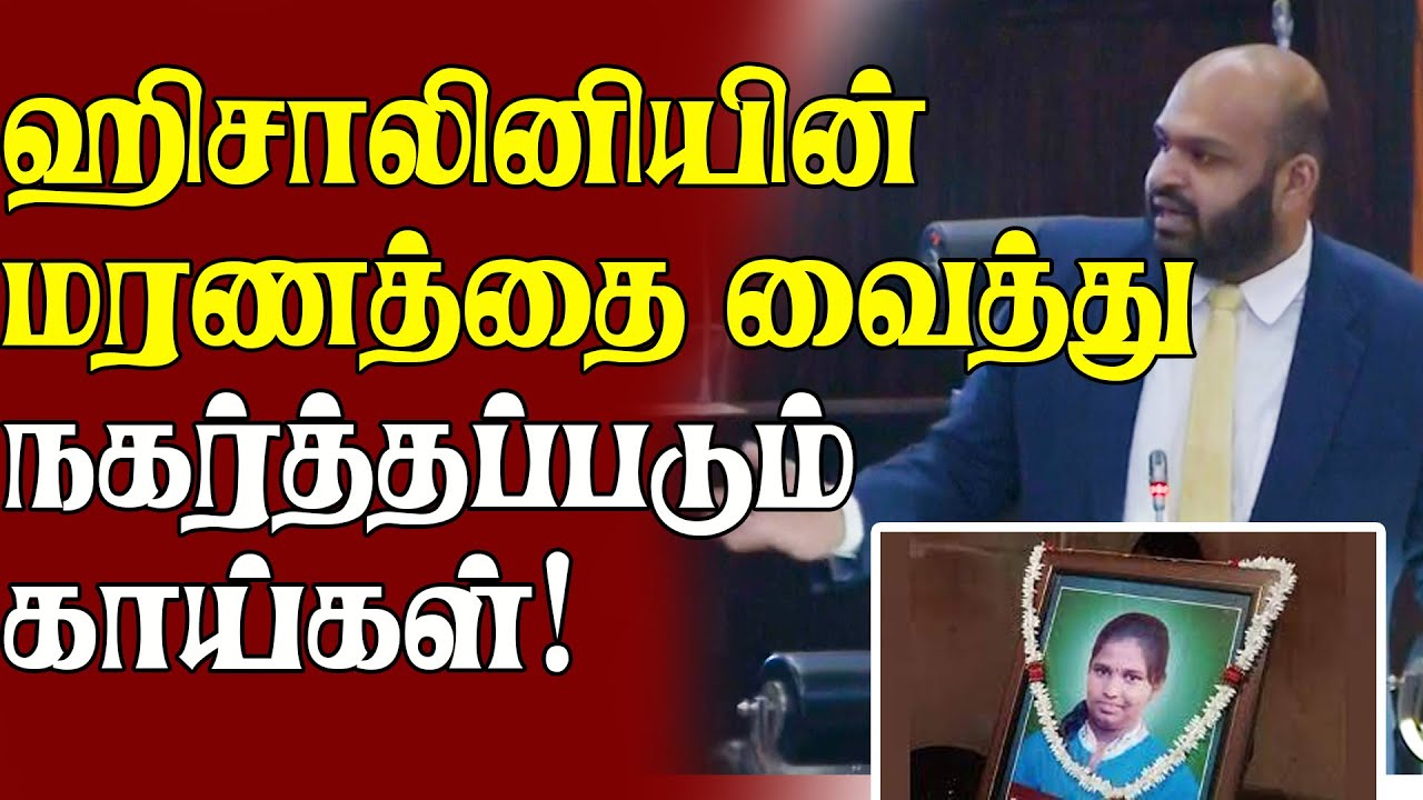 ஹிசாலினியின் மரணத்தை வைத்து நகர்த்தப்படும் காய்கள்! Sanakiyan MP #Parliament # Local News #