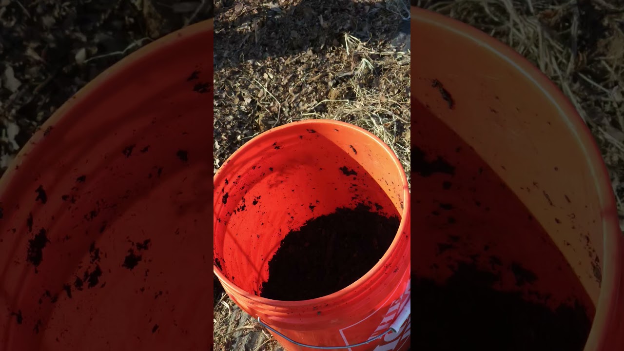 Soil Health /Soil Preparation 2026/#soilhealth #planthealth