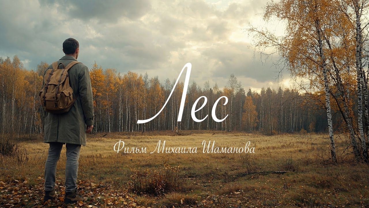 Короткометражный фильм «Лес».
