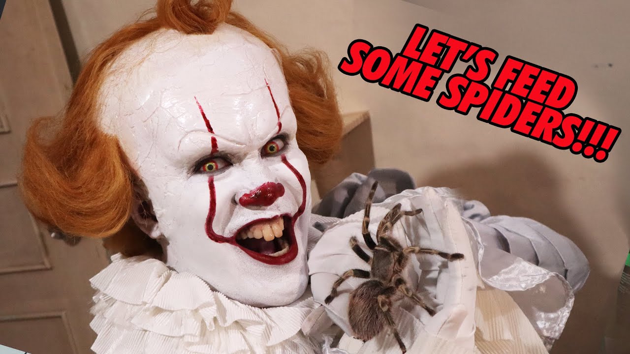 Pennywise feeding some BIG TARANTULAS! Scary large spiders! | Prince De Guzman Transformations