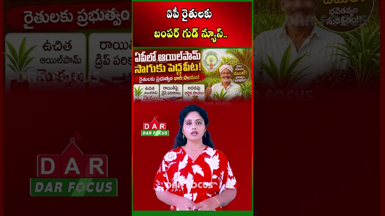 AP Government Boosts Oil Palm Cultivation | Free Plants & Subsidies for Farmers | DAR FOCUS