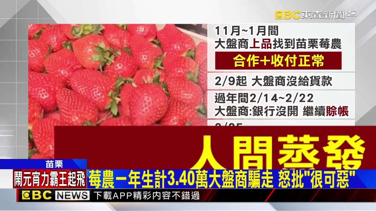 獨家》苗栗10多草莓農遭盤商「賒帳落跑」 損失破500萬@newsebc