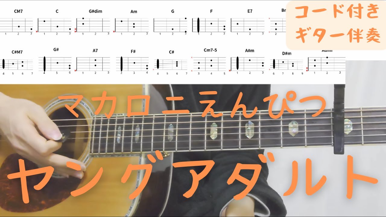 【ギターコード付き】マカロニえんぴつ/ヤングアダルト【アコギ弾いてみた】