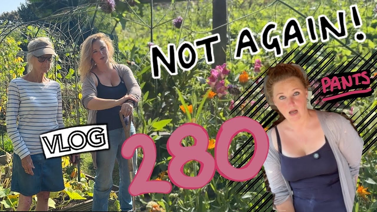it happened :( Ep 280 || Plot 37