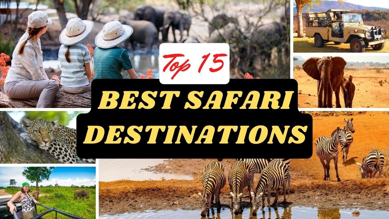 15 Must-See Best Safari Destinations: Explore the Best Wildlife Hotspots Around the World #wildlife