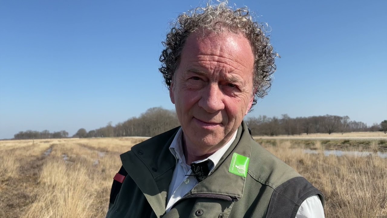 Geniet van het zonnige Bargerveen 🌞 in de vlog van Loes