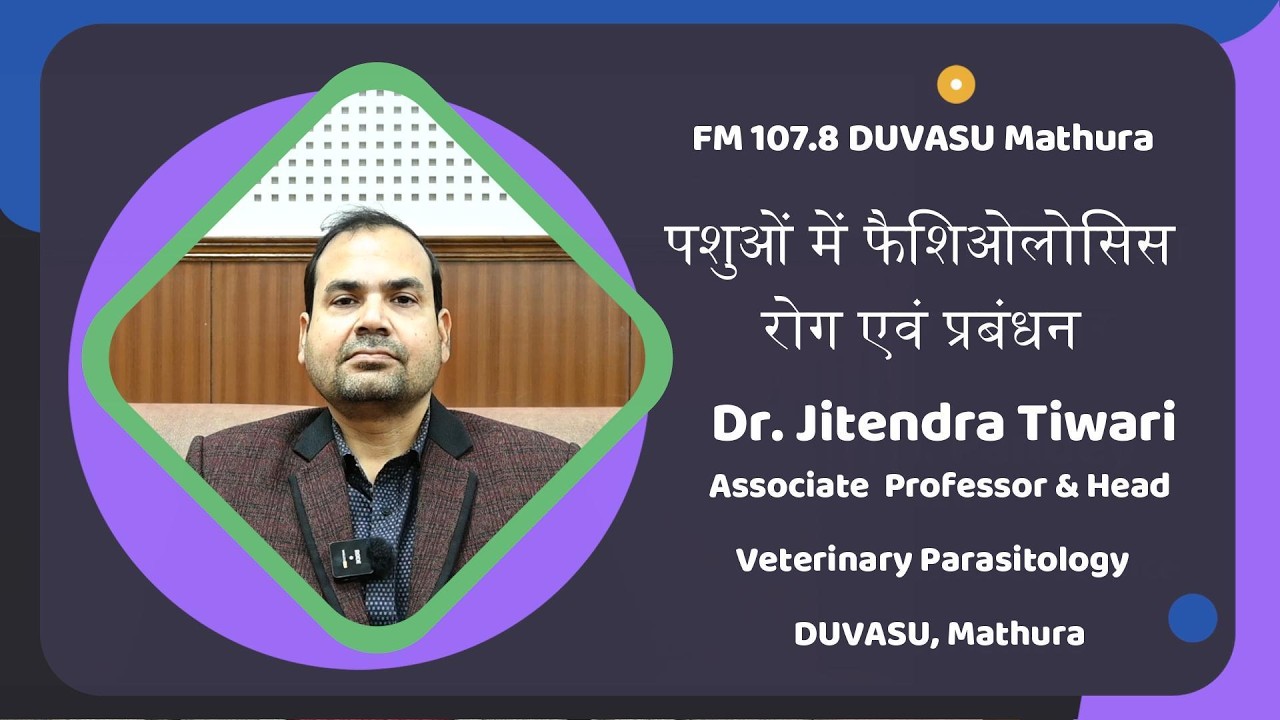 पशुओं में फैशिओलोसिस रोग एवं प्रबंधन (Fasciolosis disease in animals and its management)