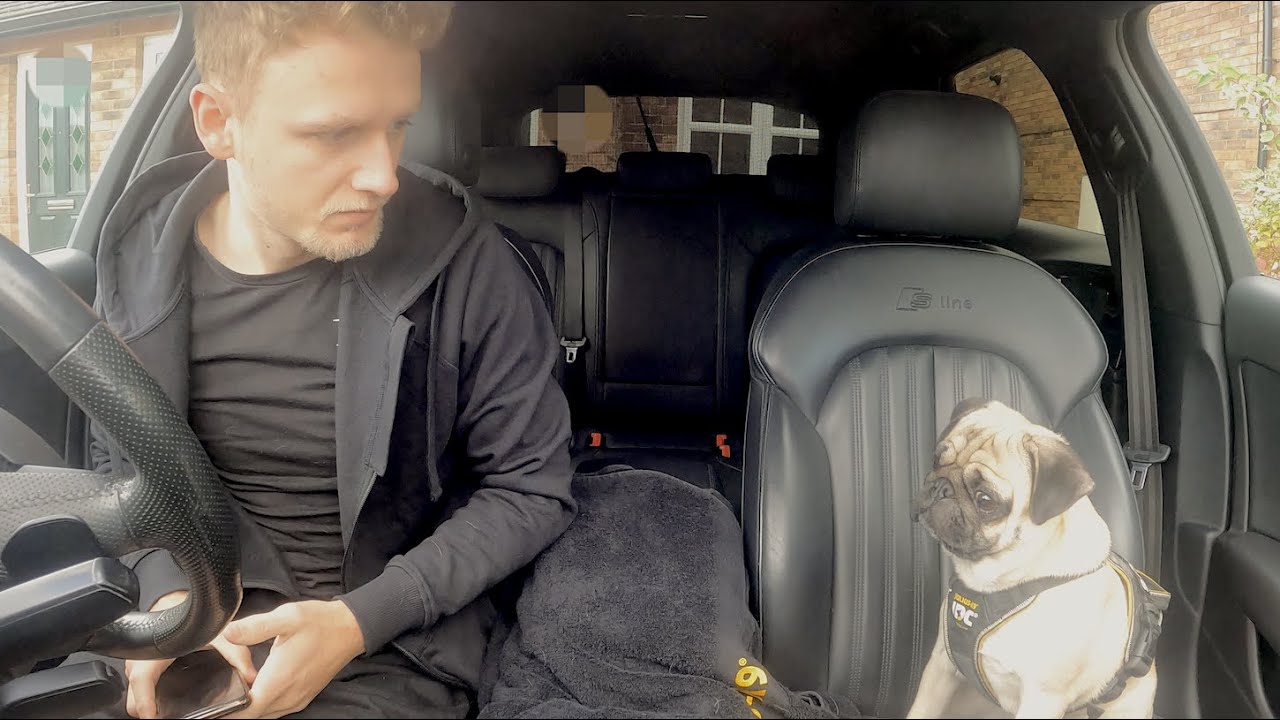 I Took Stanley To The Vets, And ..