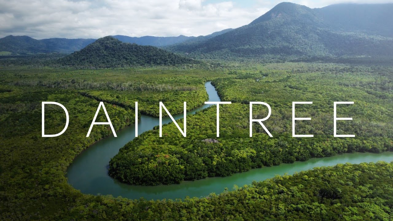Daintree, the oldest rainforest on Earth | A short 4k documentary