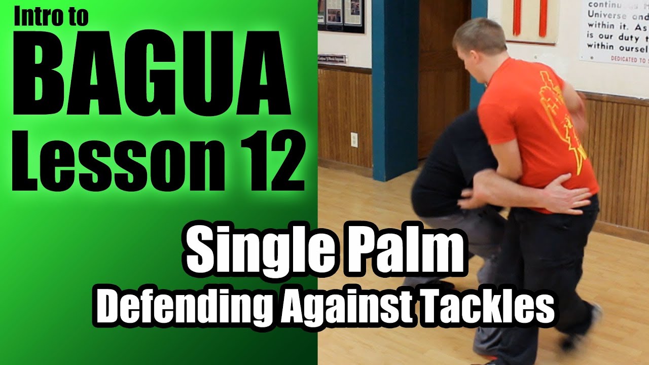Single Palm - Defending Against Tackles - Intro to Clear's Bagua Lesson 12