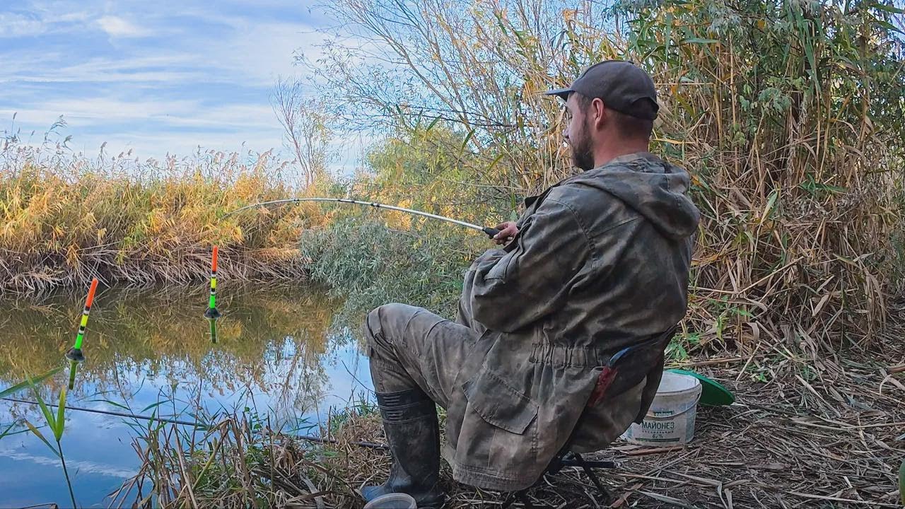 These Reeds Are Packed With Crappie! Double Bobber Fishing—Insane Bites (But It’s Off Limits!)