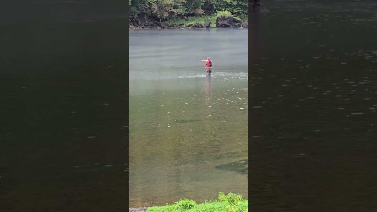 Camping at Bull Shoals White River State Park! Early morning fly fishing #fun #fishing #nature