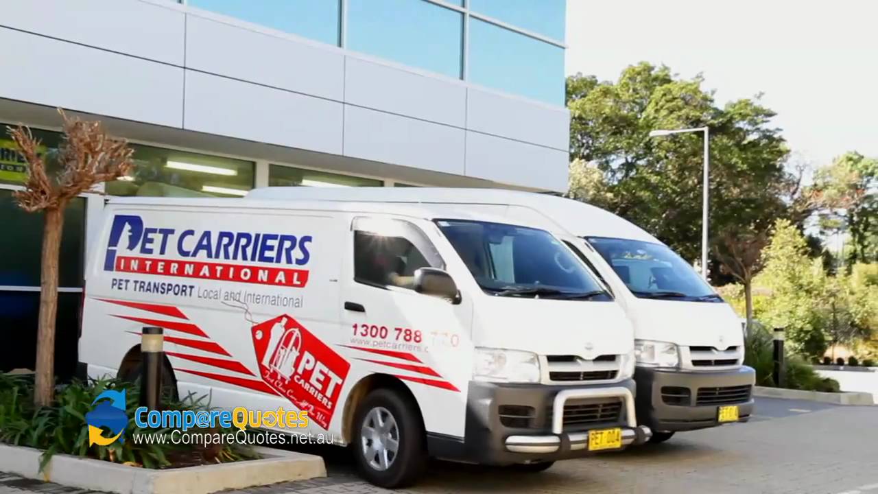 Pet Carriers International | Pet Transport | Moving Pets | Moving Animals | Animal Transport