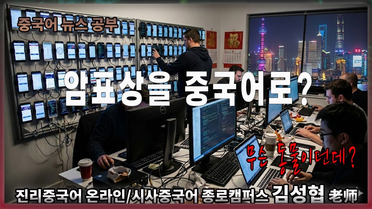 【중국어뉴스공부】#중국 #암표상 #중국어로?
