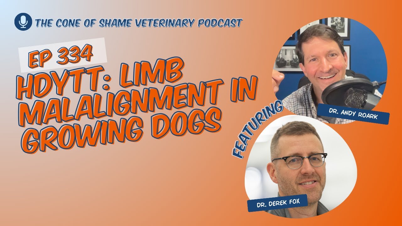 334 - HDYTT: Limb Malalignment in Growing Dogs