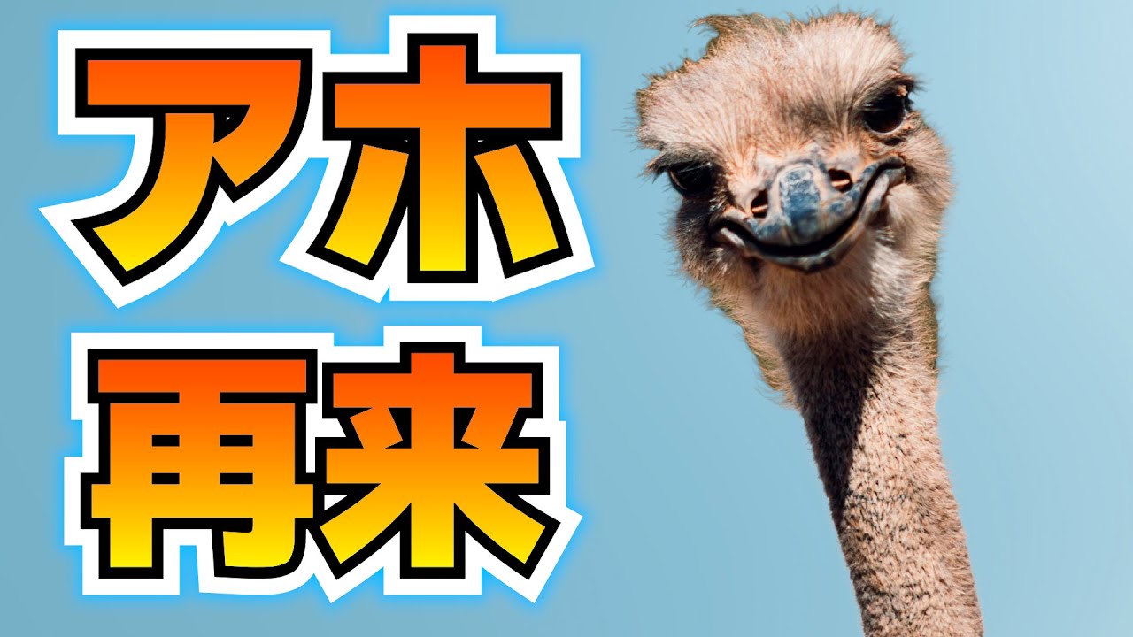ダチョウは本当に奇跡のアホなのか？【バチクソニュース】