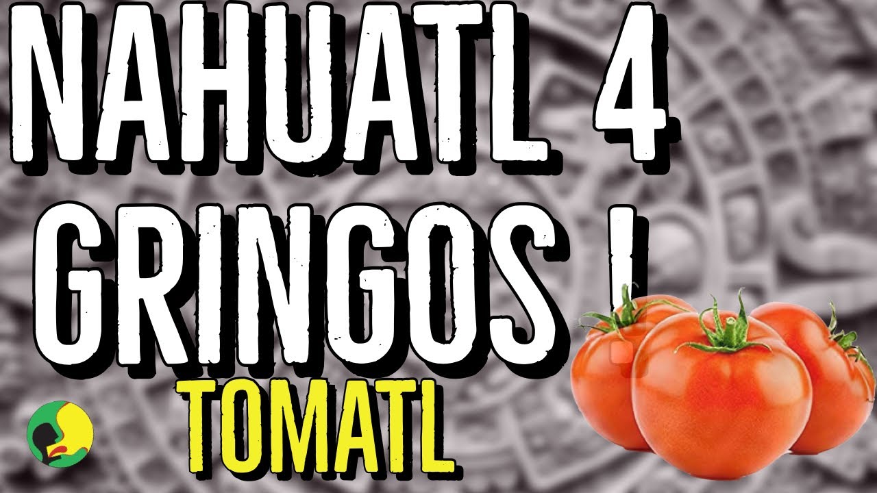 Nahuatl 4 Gringos | Tomato/Tomatl  The Latino Slant