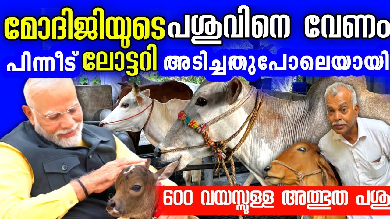 മോദിജിയുടെ പശുവിനെ വേണം, പിന്നീട് ലോട്ടറി അടിച്ചു! ഇതുപോലൊരു വീട് വേറെയില്ല 