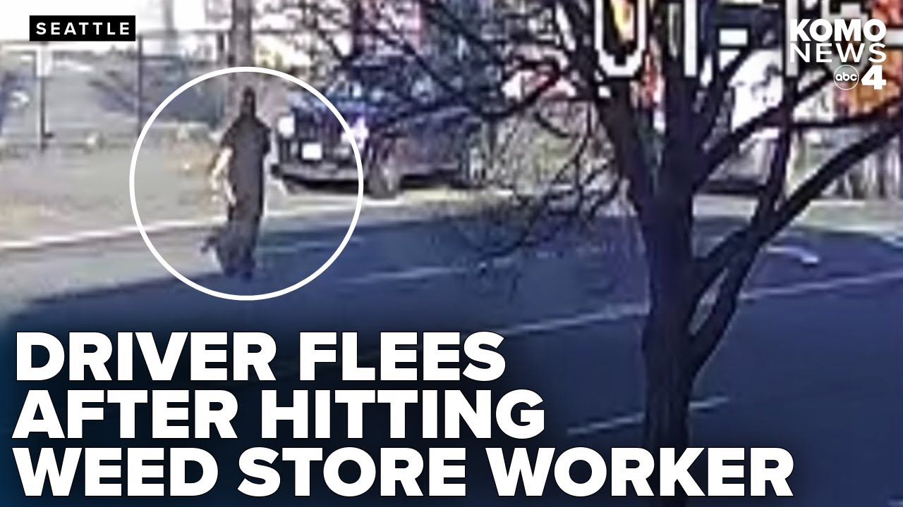 Seattle police search for hit-and-run suspect after cannabis store worker injured in SODO
