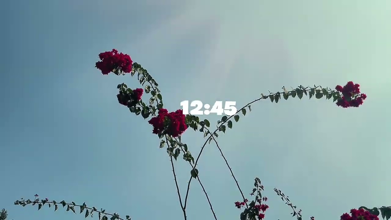Mini vlog, full vibes ✨