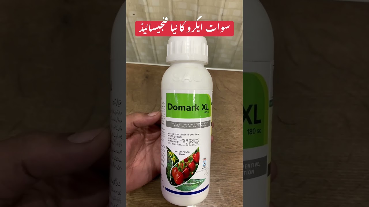 Domark XL new fungicide powerful systemic quick action | tetracinazole Europion product | swat agro