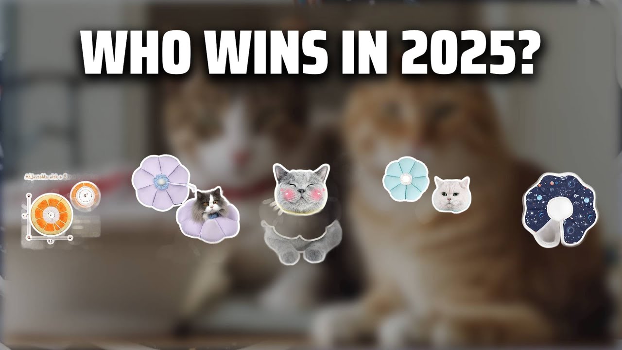 The Top 5 Best Cat E-Collar in 2025 - Must Watch Before Buying!