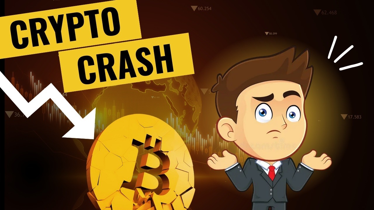 Surviving the Storm | How to Navigate a Crypto Market Crash | The NexCrypt