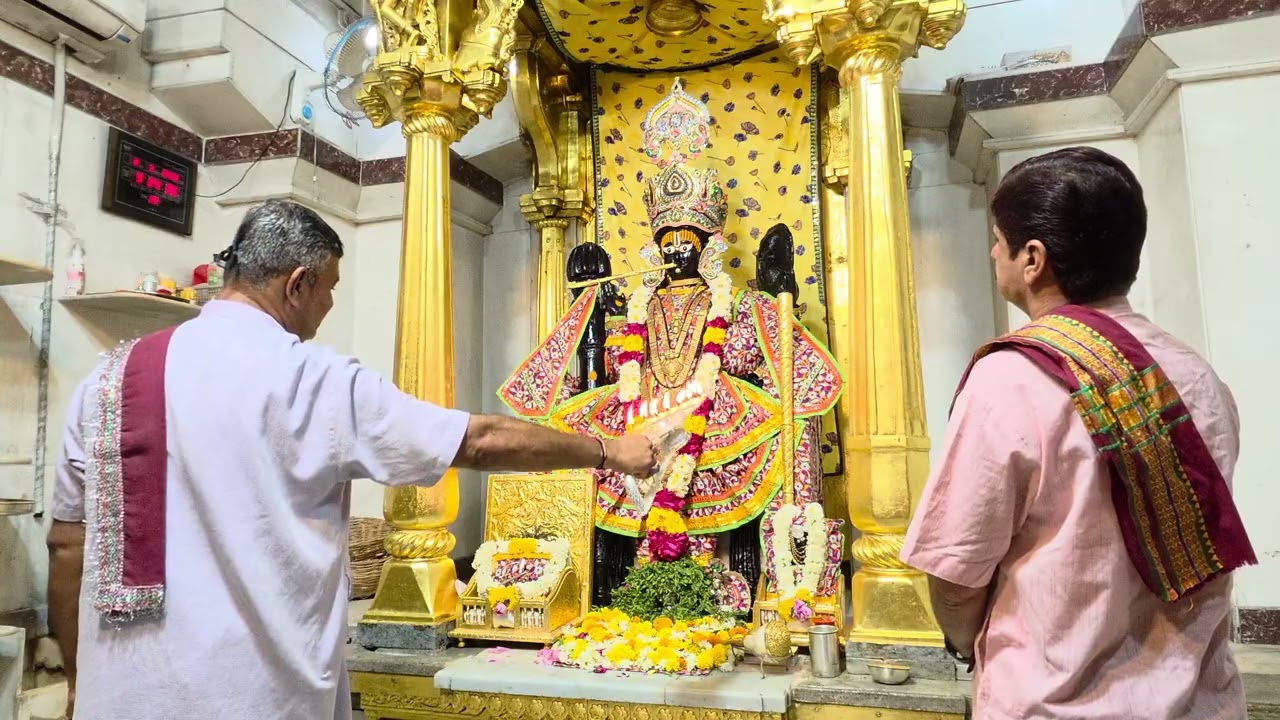 Shangar Aarti Darshan Shamlaji 