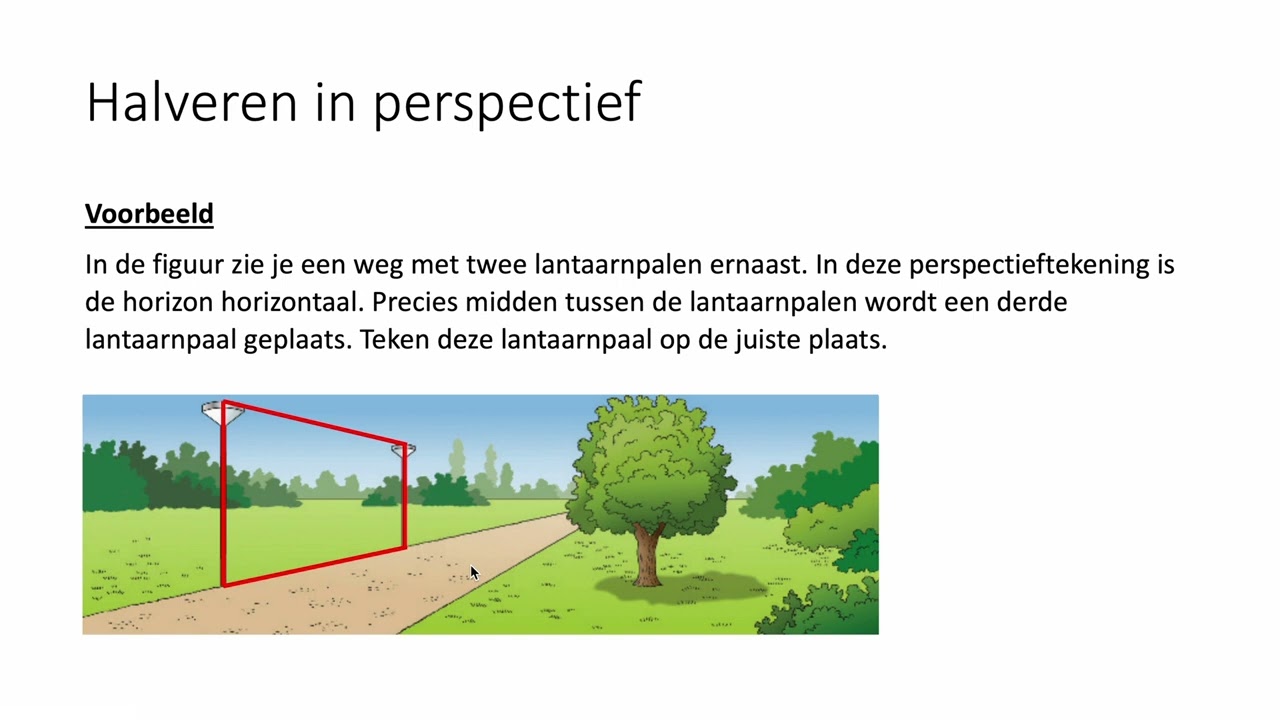Halveren in perspectief (VWO wiskunde C)