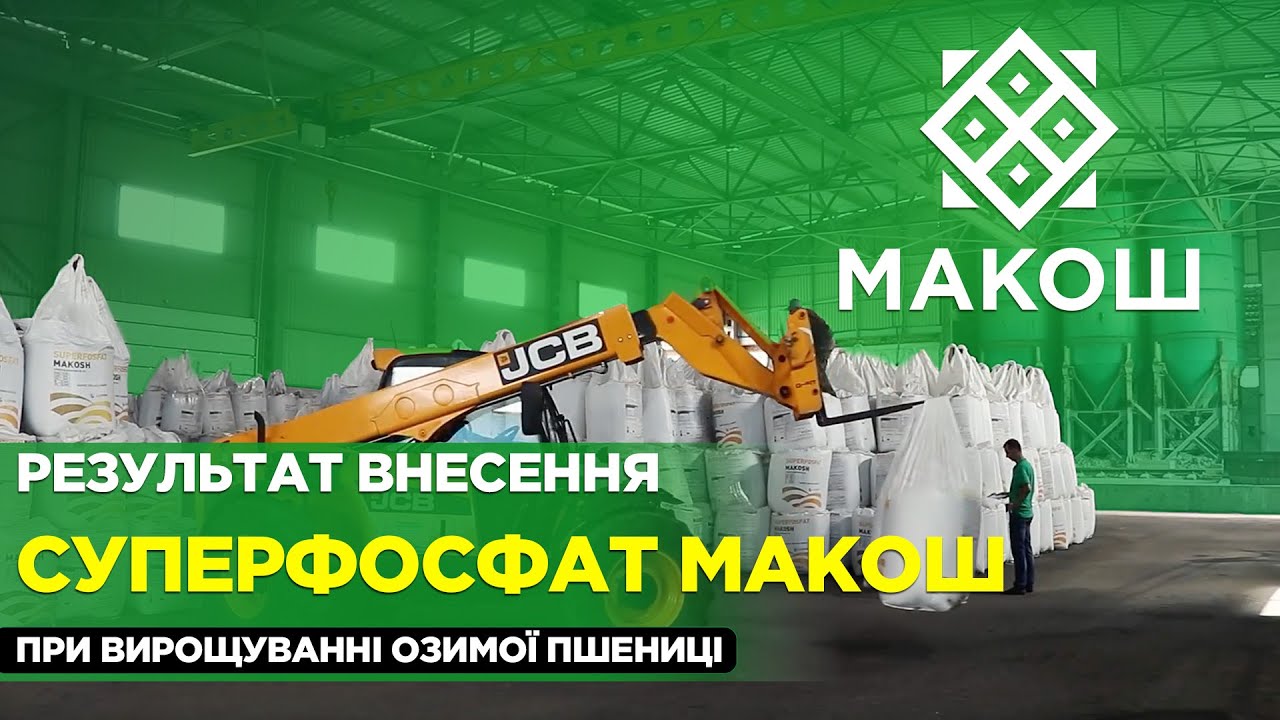 Результат внесення добрива Суперфосфат Макош при вирощуванні озимої пшениці