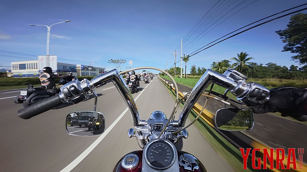 VIVA THE UNDERDOGS! | 2000 HARLEY DAVIDSON SOFTAIL STANDARD