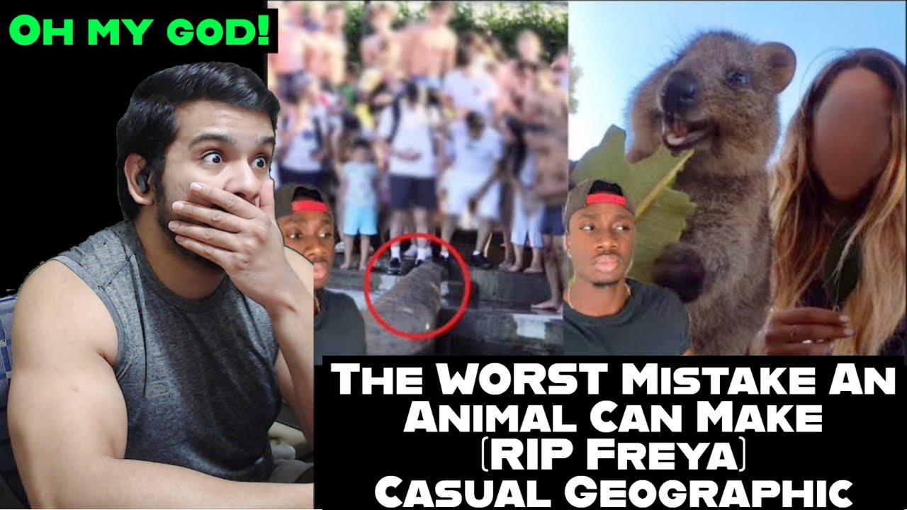 The WORST Mistake An Animal Can Make (RIP Freya) by casual geographic