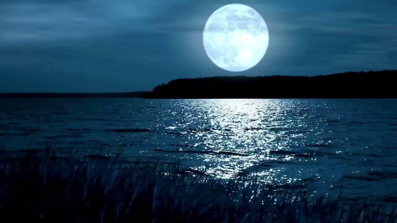 Forest and Water Sounds 🌿 Relaxing Nature Ambience for Sleep