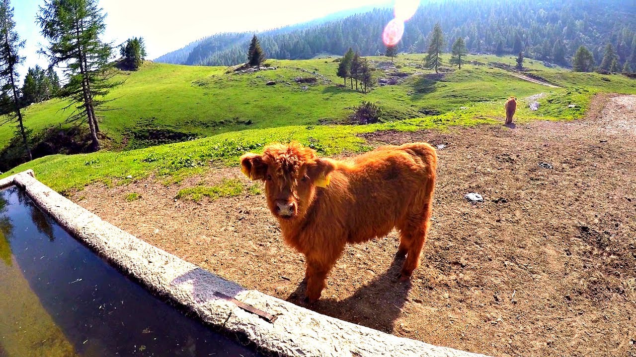 Trekking Alta Via 1 Dolomiti Hike Solo part 7 - 8 - PeschoAnvi