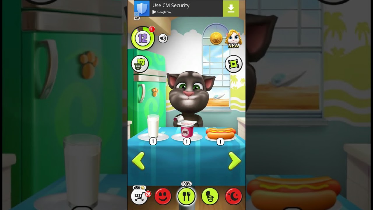 MY TALKING TOM LEVEL 13