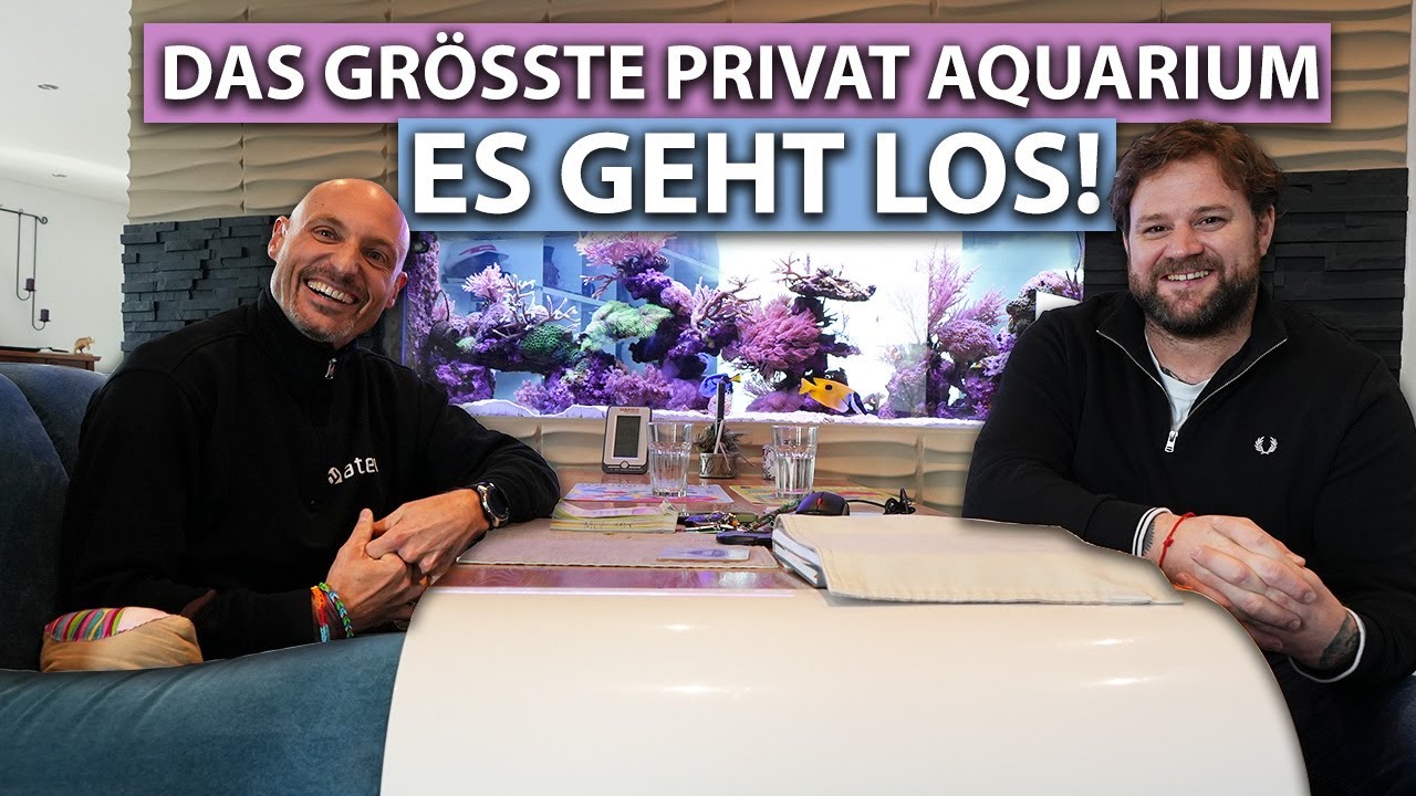 5 METER Becken! - Unser größtes PRIVAT-PROJEKT!