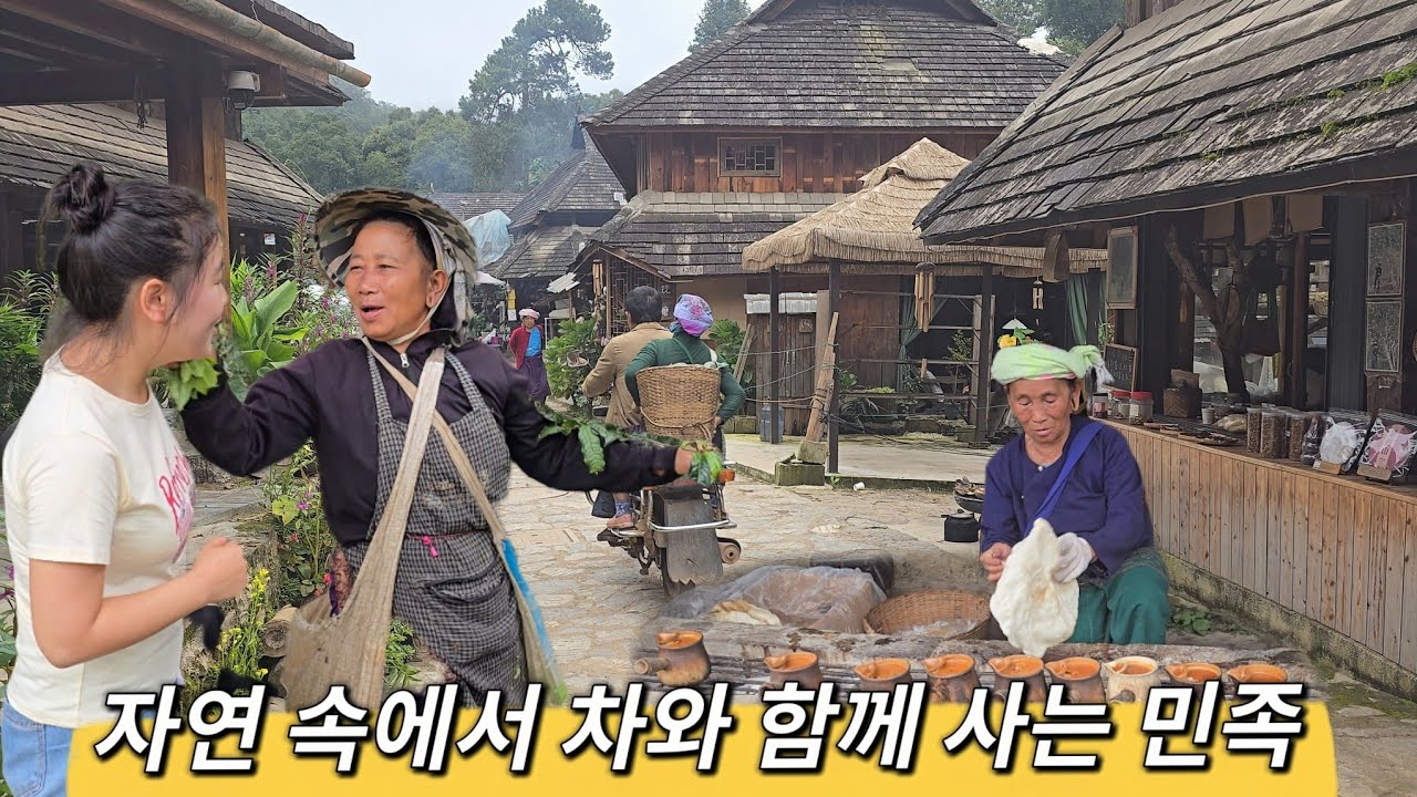자연 속에서 차와 함께 사는 민족