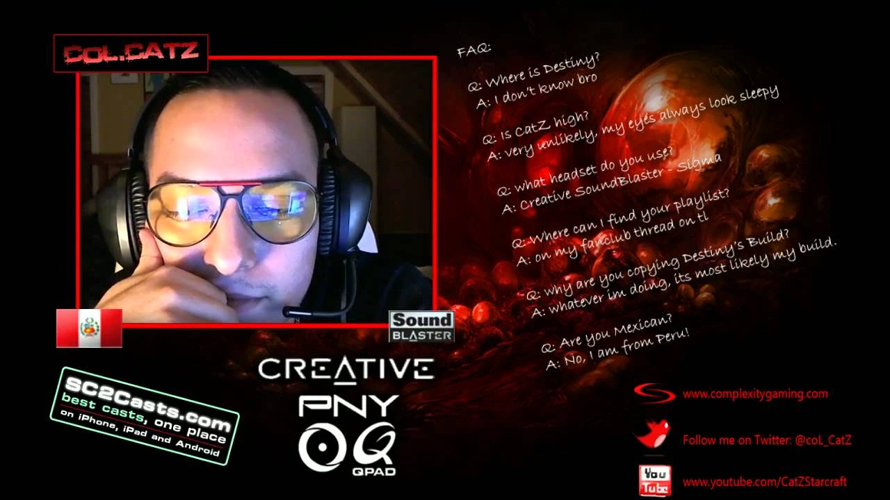 CatZ on Skype with Deezer - Starcraft 2