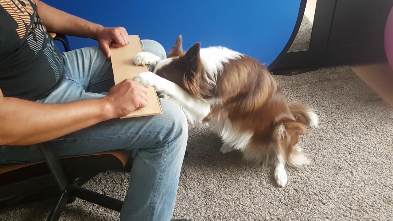 Trick 