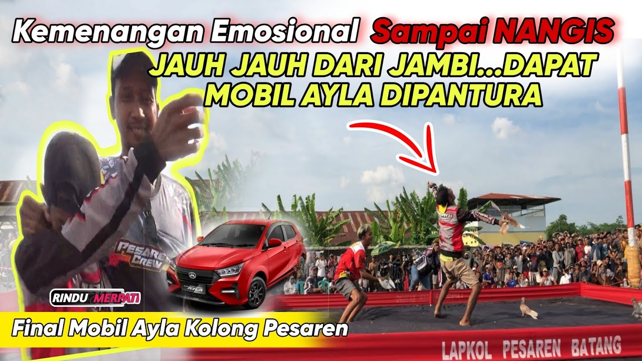Final Jos !! Jagad Satria Dari Jambi Menggila Di Pantura Dapat Mobil Ayala Kolong Pesaren Batang