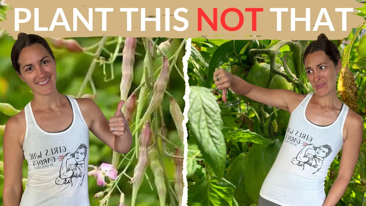 10 тропических овощей, которые отлично растут во Флориде (легкие варианты обмена в саду)