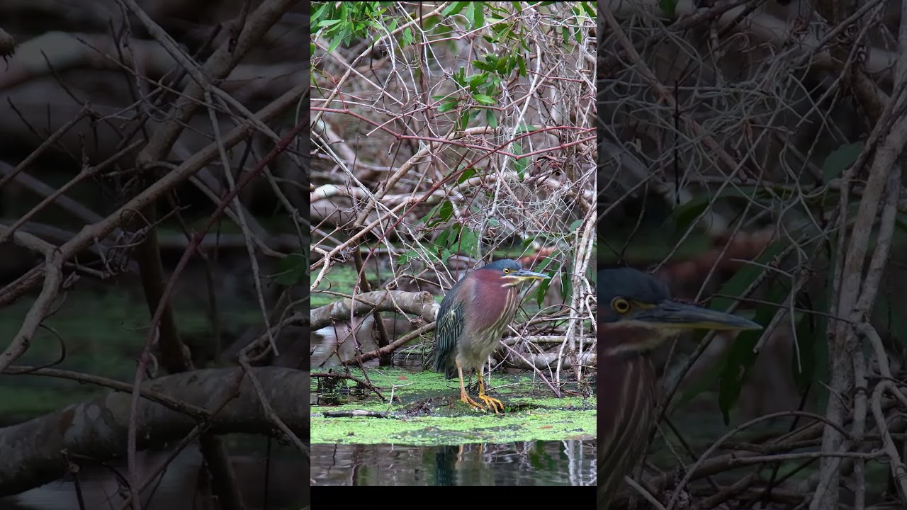 Exploring Florida State Parks