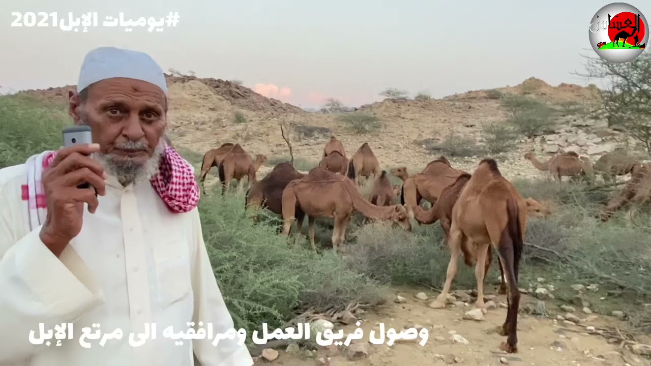 رحلة الى سفوح جبال الهضب مع عم مهدلي لمراتع الإبل