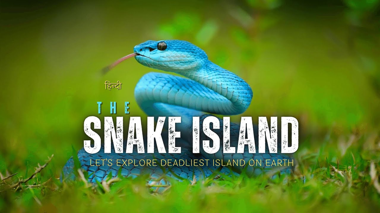 The Snake Island - Let's explore deadliest island on Earth &ndash; [Hindi] &ndash; Infinity Stream