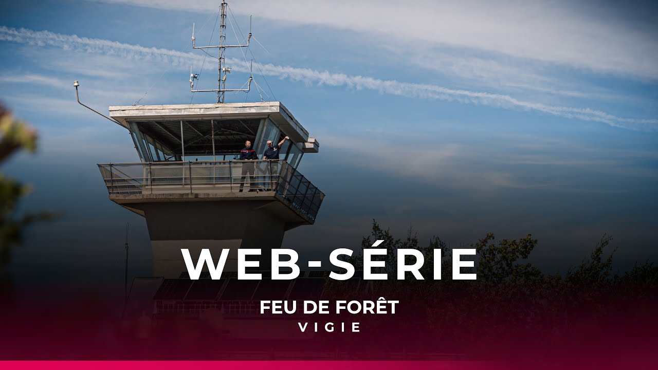 Web-série : feu de forêt : épisode 4 : la vigie