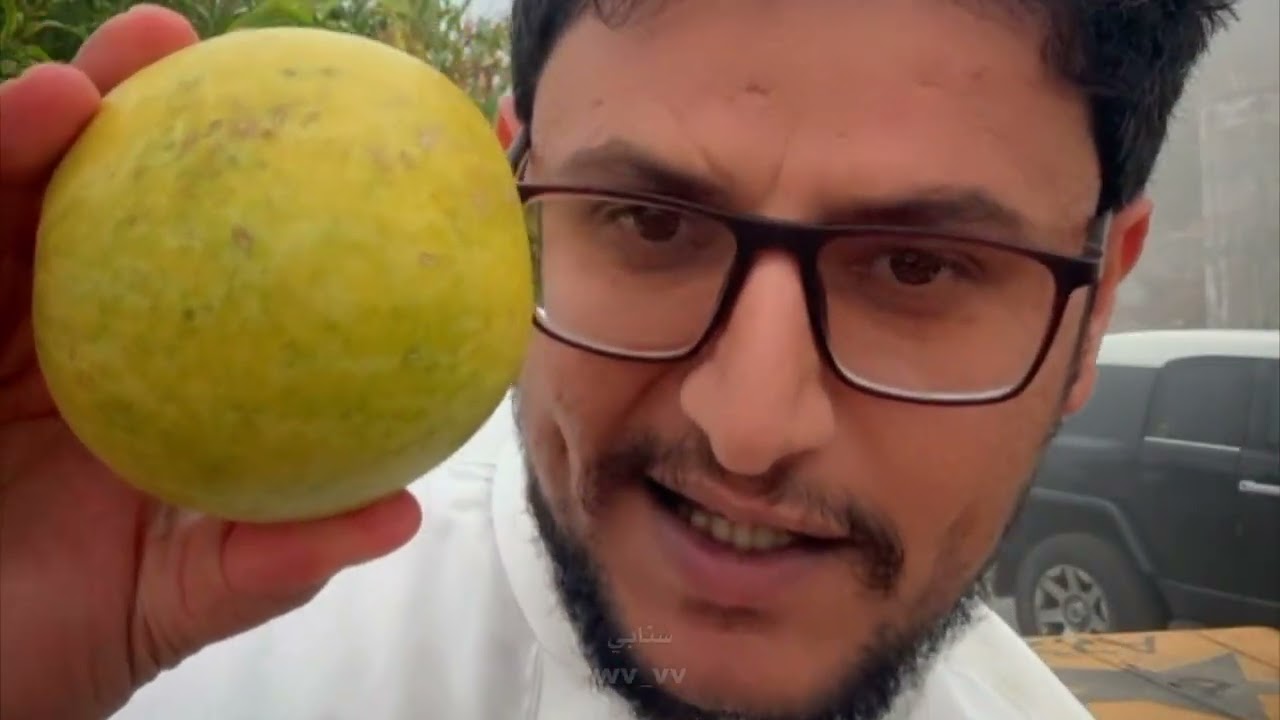 #تجربة الحنظل #تجارب_لاحق