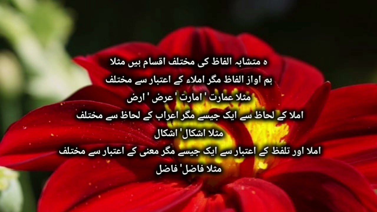 متشابہ الفاظ