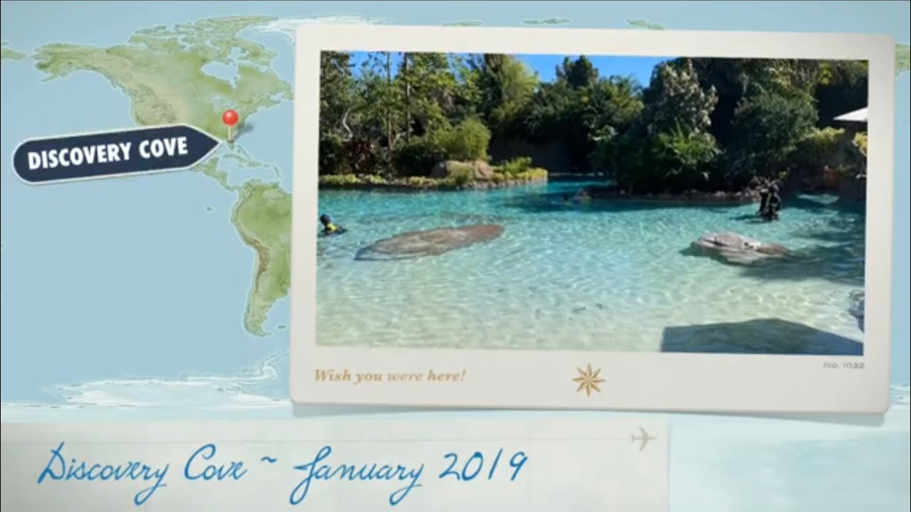 Discovery Cove and Private Cabana ~ January 2019