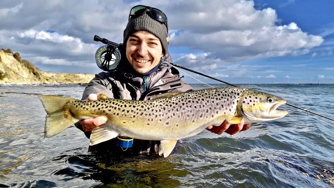 FLIEGENFISCHEN auf MEERFORELLE: Erfolgreich in der OSTSEE!